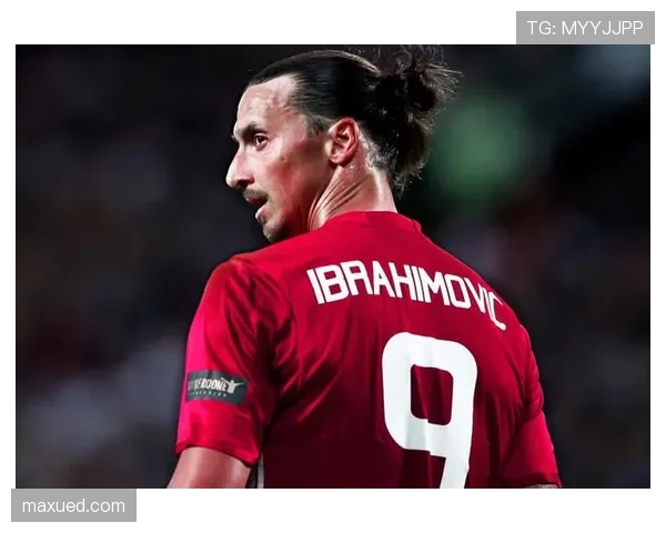 伊布与卡瓦尼高位进攻中的射门分布差异分析